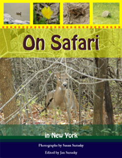 On Safari in New York